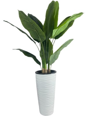 Yapay Starliçe Muz Ağacı Beyaz Kumsal Vazoda Muz Ağacı Yapay Starliçe 150CM 12 Yaprak