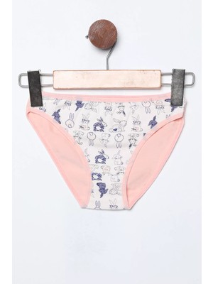 Pudra Kız Çocuk Desenli Külot P-00004499