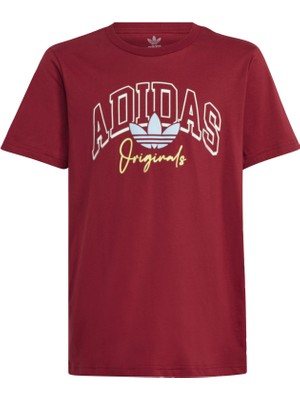 Adidas Originals IJ0695 Collegiate Graphic Pack Bf Tee