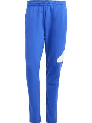 Adidas Sportswear IW8560 Future Icons Badge Of Sport Pants