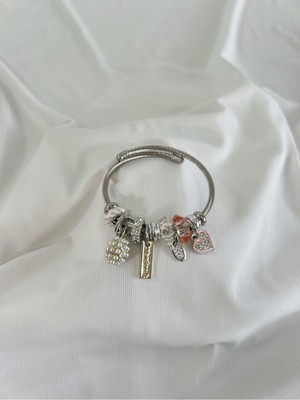 Uzay Accessories 316L Çelik Pandora, Taşlı Kalp Detaylı Charm Bileklik