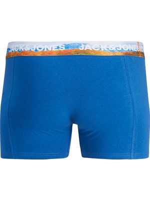 Jack Jones Jacwayne Solıd Trunks 3 Pack Erkek Yeşil Boxer 12263887-21