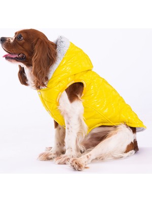Pawstar Sarı Light Wave Anorak Yelek Köpek Yeleği Köpek Kıyafeti Köpek Yağmurluk