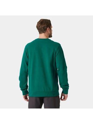 Helly Hansen Hh Logo Crew 2.0 Sweatshırt HHA.30395-EMERALD