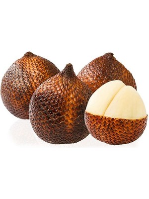 Köy Tohumları 1 Adet Tohum Organik Tropikal Yılan Meyvesi Tohumu Salak Meyve Ağacı Tohumu