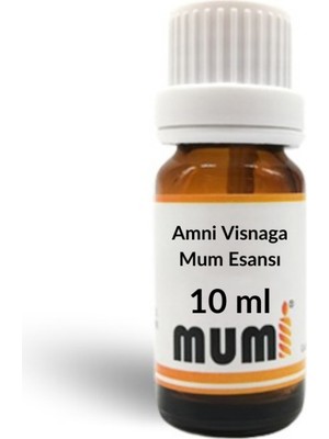 Amni Visnaga Mum Esansı 10 ml