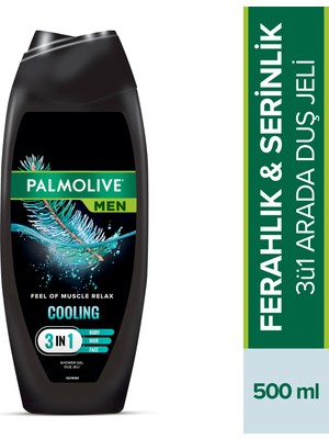 Palmolive Men Cooling 3'ü 1 Arada Magnezyum ve Mentollü Serinlik Veren Erkek Duş Jeli 500 ml