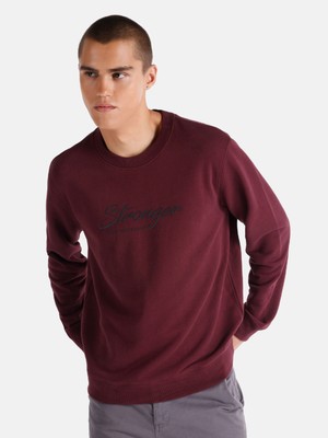 Regular Fit Bisiklet Yaka Baskılı Bordo Erkek Sweatshirt Cl1065690