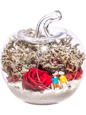 Çiçekbi Teraryum Solmayan Gül Aşk Ateşi