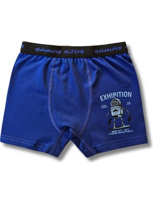 Giza Kids Erkek Çocuk Karışık Renkli 6lı Boxer Seti