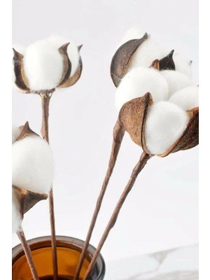 Yapay Çiçekçiniz Büyük Doğal Pamuk Demeti 10'lu Beyaz Renk Yapay Çiçekçiniz Uzun Ömürlü Dekoratif Materyal