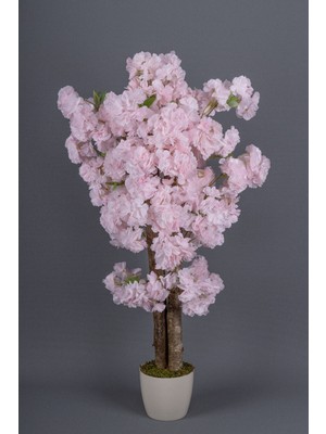 Beyaz Saksıda 100 cm Bahar Dalı Ağacı