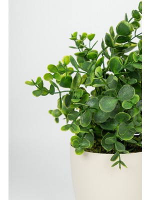 Yapay Çiçekçiniz Yapay Çiçek Beyaz Saksıda Canlı Görünümlü Baby Okaliptus Düğün Süslemeleri İçin