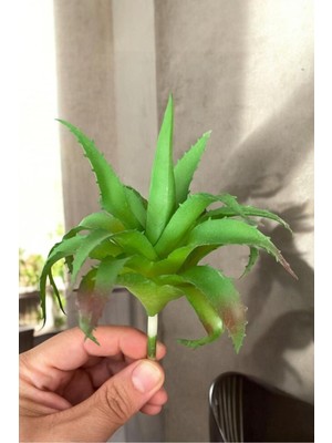 Gerçek Dokulu Yapay Kaktüs Sukulent