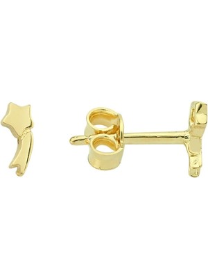 goldkupe 14 Ayar Minik Yıldız Altın Küpe 0,55 gr