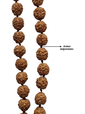 Pozitif Doğal Taş Rudrakşa 54 Taneli Yarım Mala Unisex Kolye Tesbih Hindistan Rudraksha 101YM