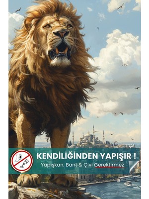 Istanbul'da Aslan Duvar Posteri, Premium Baskı Poster, Galatasaray Poster, Taraftar Posterleri