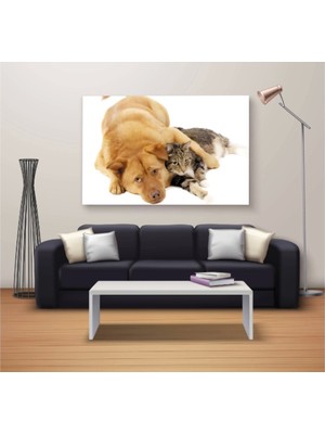 Narnuga Dekoratif Dikdödrtgen Kanvas Tablo