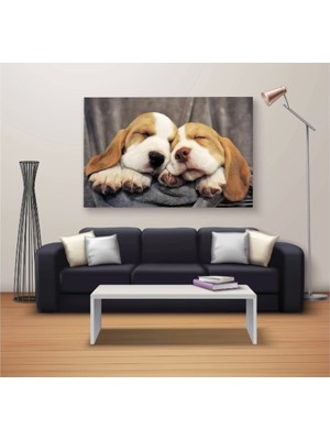 Dekoratif Baskı Özel Tasarım  Kanvas Tablo 413