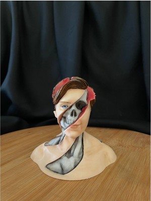 Insan Anatomi Büstü