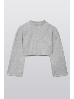 Oversized fit crop sweatshirt