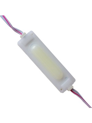 Caddemia Mat Oval Cob LED 19*65MM Kasalı 12V (4434)