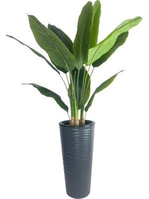 Yapay Starliçe Muz Ağacı Antrasit Kumsal Vazoda Muz Ağacı Yapay Starliçe 150CM 12 Yaprak