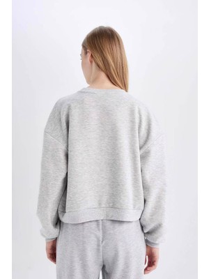 DeFacto Regular Fit Bisiklet Yaka Kalın Basic Düz Sweatshirt D6645AX24WN