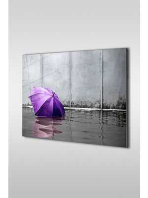 Glaszen Mor Şemsiye Modern Dekoratif Yatay Cam Tablo