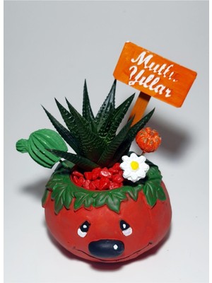 Venoki Hediye Çiftliği Dogum Gunu Mutlu Yıllar Gulen Surat Sukulent Set