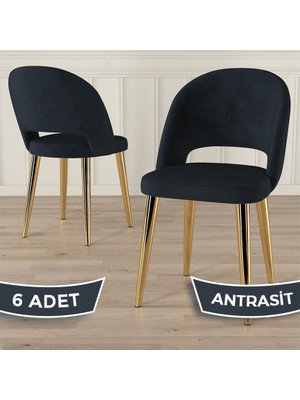 Canisa Pane Serisi 6 Adet Mutfak Sandalyesi Gold Kaplama Metal Ayak