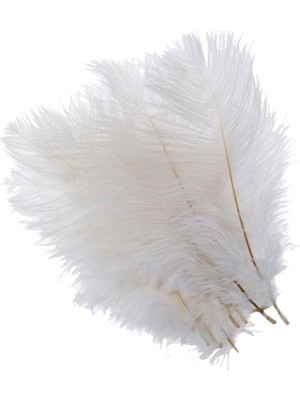 Nettenevime 10LU Set Deve Kuşu Tüyü Beyaz 40-45  cm  Gerçek Tüy 1 Adet