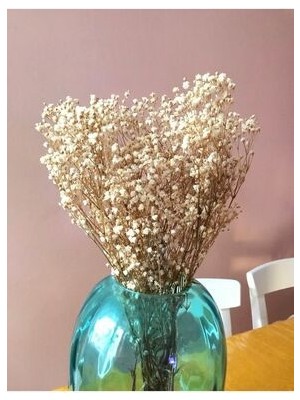 Kuru Çiçek Şoklanmış Cipso Krem Rengi