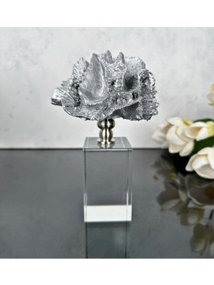 Tekno Trust Kristal Stantlı Mercan Gümüş