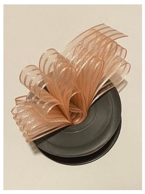 Çizgili Şifon Kurdele (Kurdale) 2.5cm x 20METRE. Renk No:11