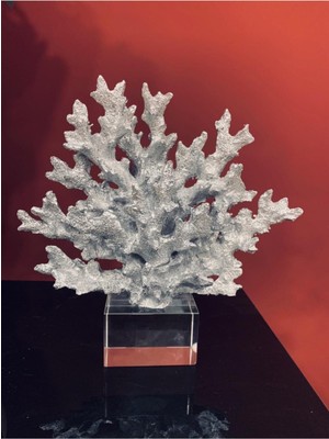 Tekno Trust Kristalli Mercan