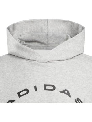 Adidas IW8253 Slt Fleece Hood Gri