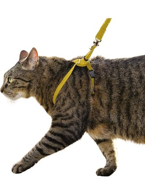 Evene Kedi Tasması Kedi Göğüs Bel Ayarlanabilir Dayanıklı Sağlam Tasma 1 cm Ince Kolon