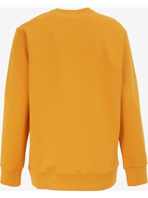 Hardal Erkek Bisiklet Yaka Relaxed Fit Baskılı Sweatshirt D4WM-SWT3225