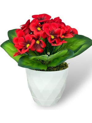 Yapay Çiçek Beyaz Saksıda Kadife Menekşe Gerçekçi Doku Kırmızı