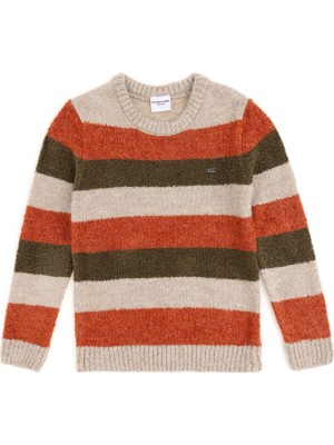 U.S. Polo Assn. Erkek Kazak Bisiklet Yaka Çizgili Taş Renk Slim Fit Günlük Kullanım İçin