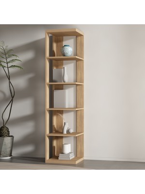 Rafkestir Kordon  Raf Seti Kafkas Meşe ( Mat )