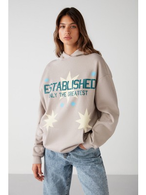 Establıshed Regular Relaxed Vizon Sweatshirt