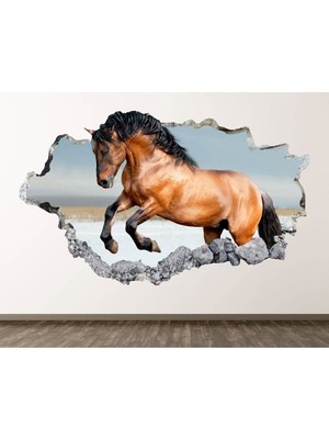 Mediterian 3D Şık Çok Renkli Şeffaf Duvar Sticker, Full HD Baskı, Modern Tasarım, 1 Parça