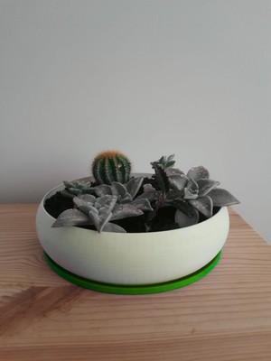 Plastobe Aranjman Boğum Saksı 18 cm (Bioplastik)