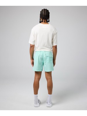 Champion Beachshort