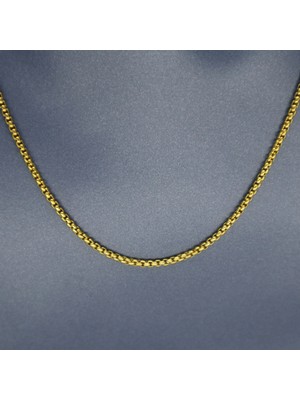 Hedea 2 mm Gold Kadın Çelik Kolye 60 cm