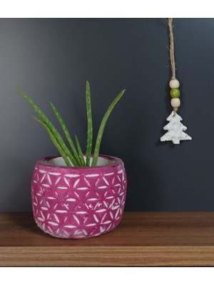 Hemdeucuz Beton Saksı