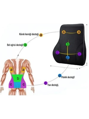 Orpedox Anatomik Bel Yastığı Sırt Minderi Ofis Koltuğu Oyuncu Koltuk Minderi