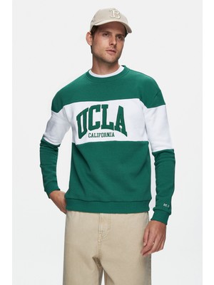 ARCHER Yeşil Bisiklet Yaka Nakışlı Şardonlu Loose Fit Erkek Sweatshirt